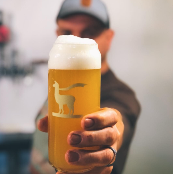 Our Beer Fly Llama Brewing