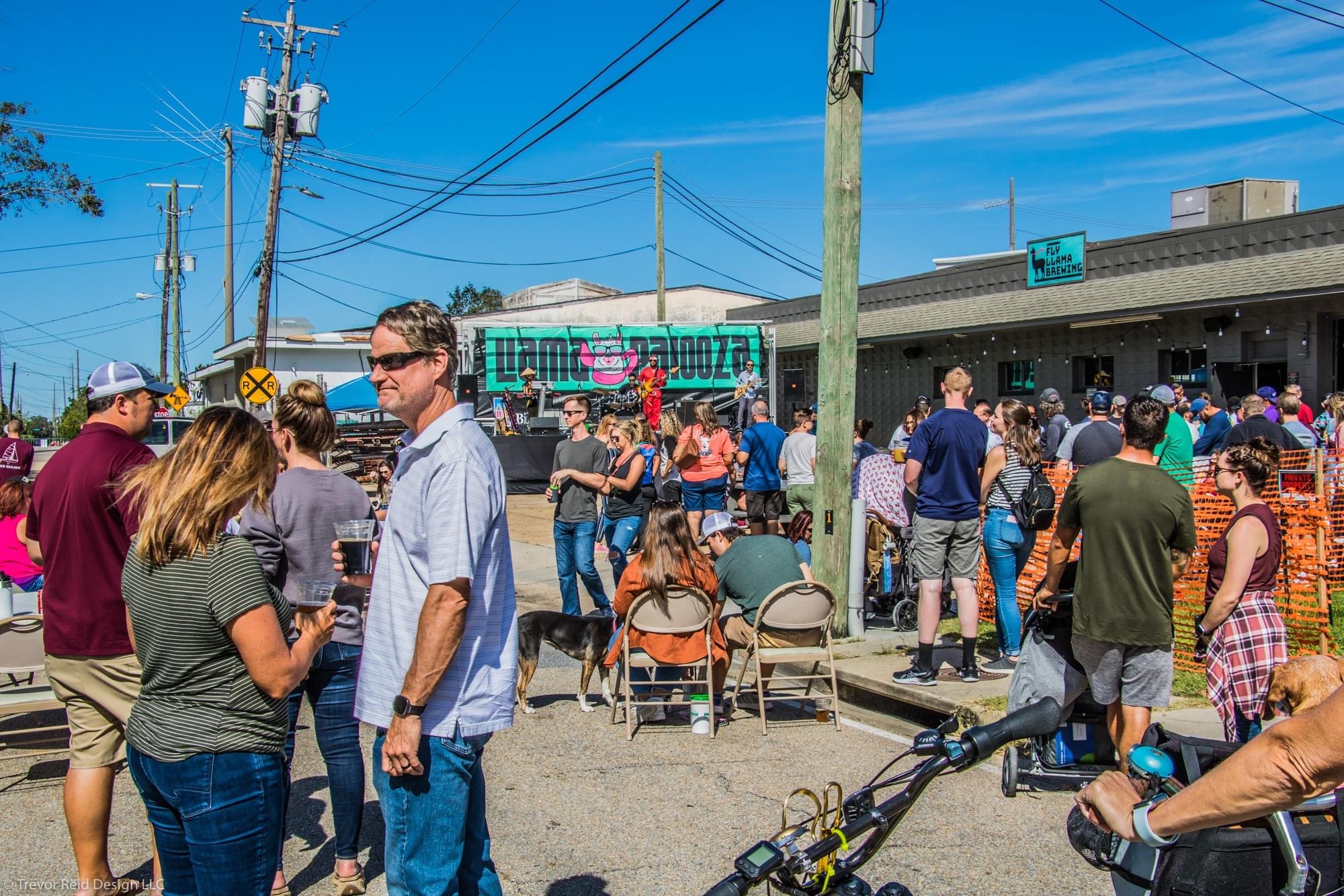 People having fun at Llamapalooza 2021