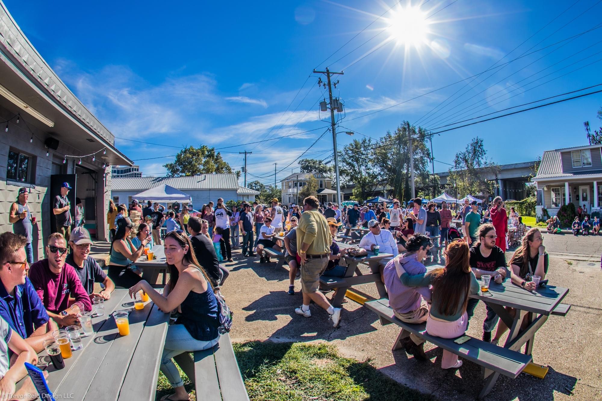 A large crowd of people at Llamapalooza 2021