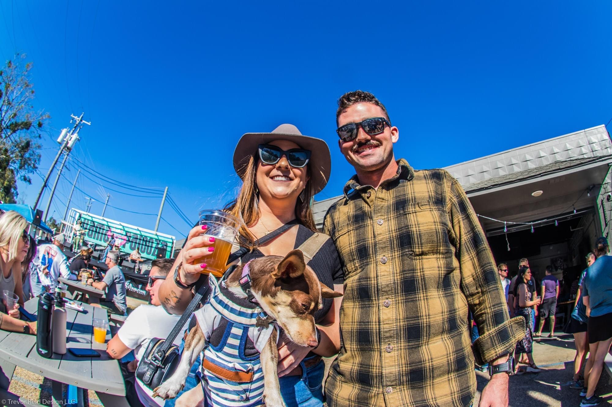 A Couple Drinks Beer