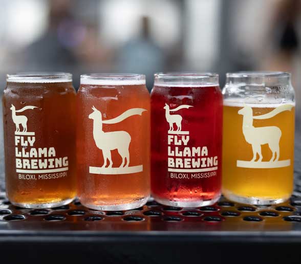 Fly Llama Brewing