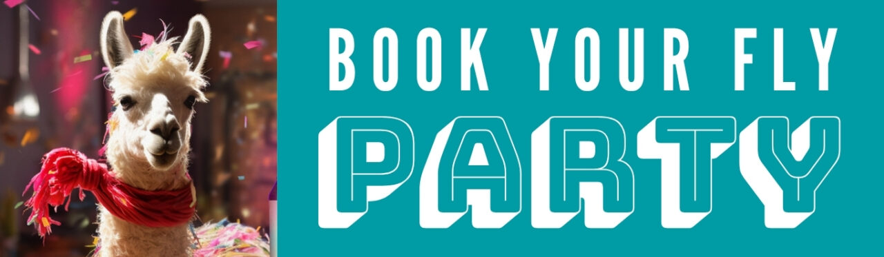 Host Your Party at Fly Llama